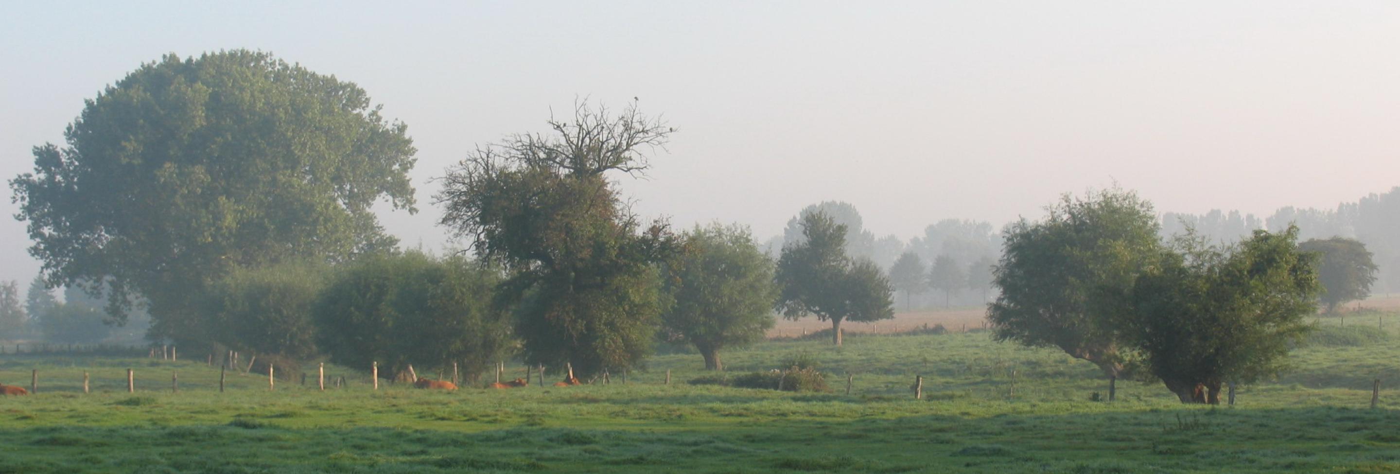 Kreis Wesel